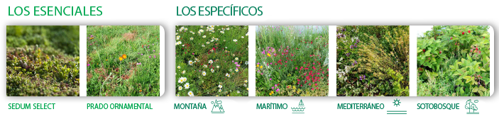 Couverts-predefinis-banniere