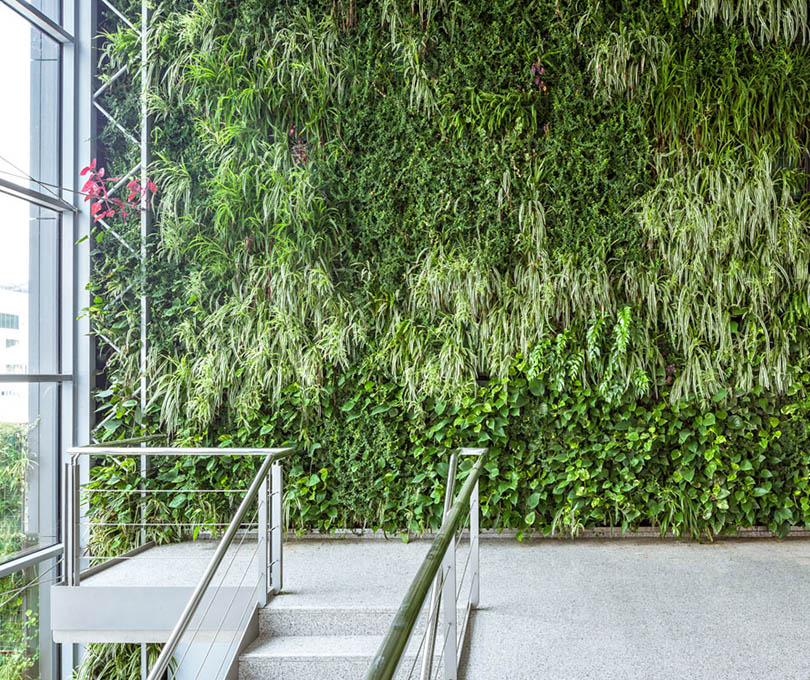 Paredes Vegetales