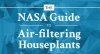 Lista de plantas de interior para purificar el aire